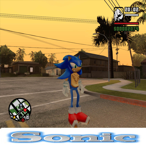 sonic riders pc has both